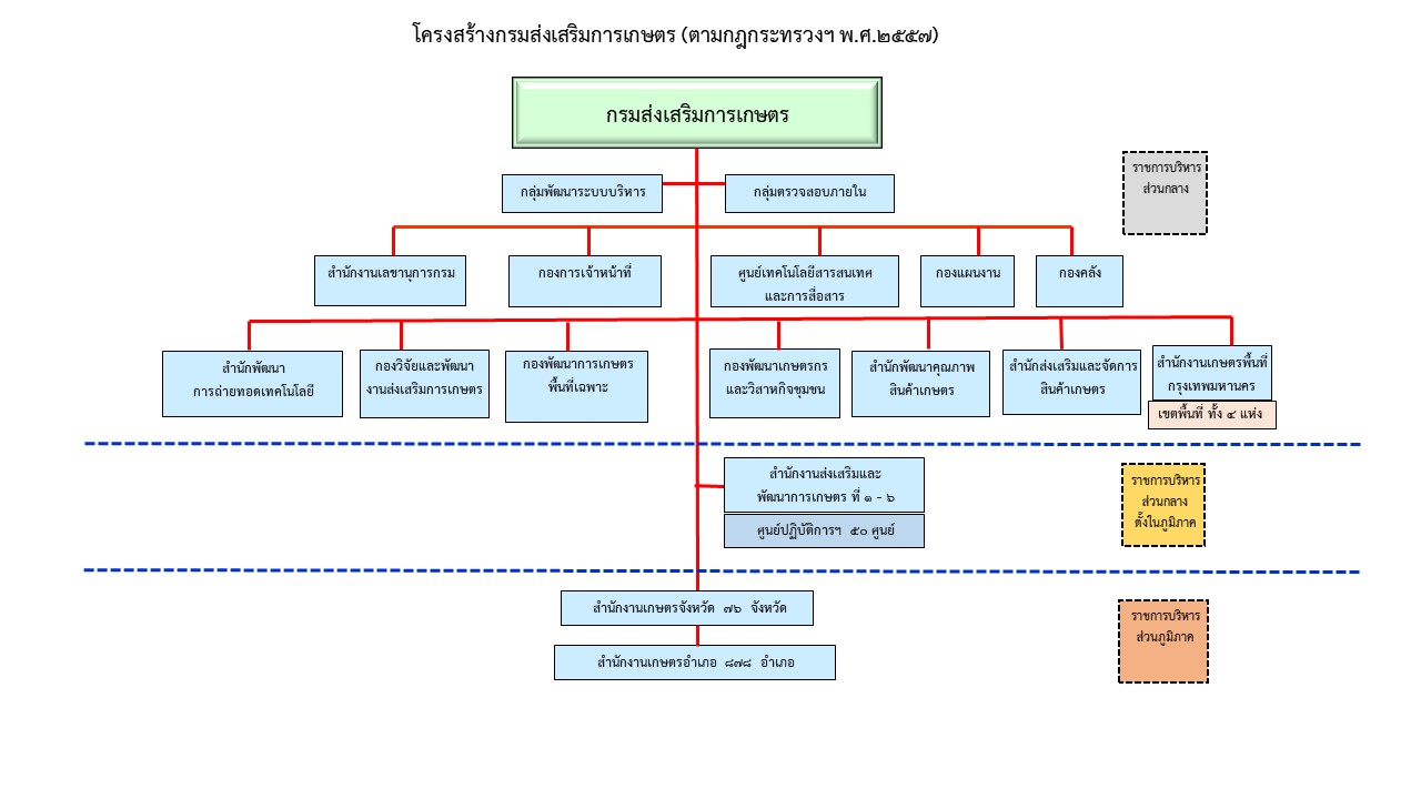 โครงสร้างตามกฎกระทรวง