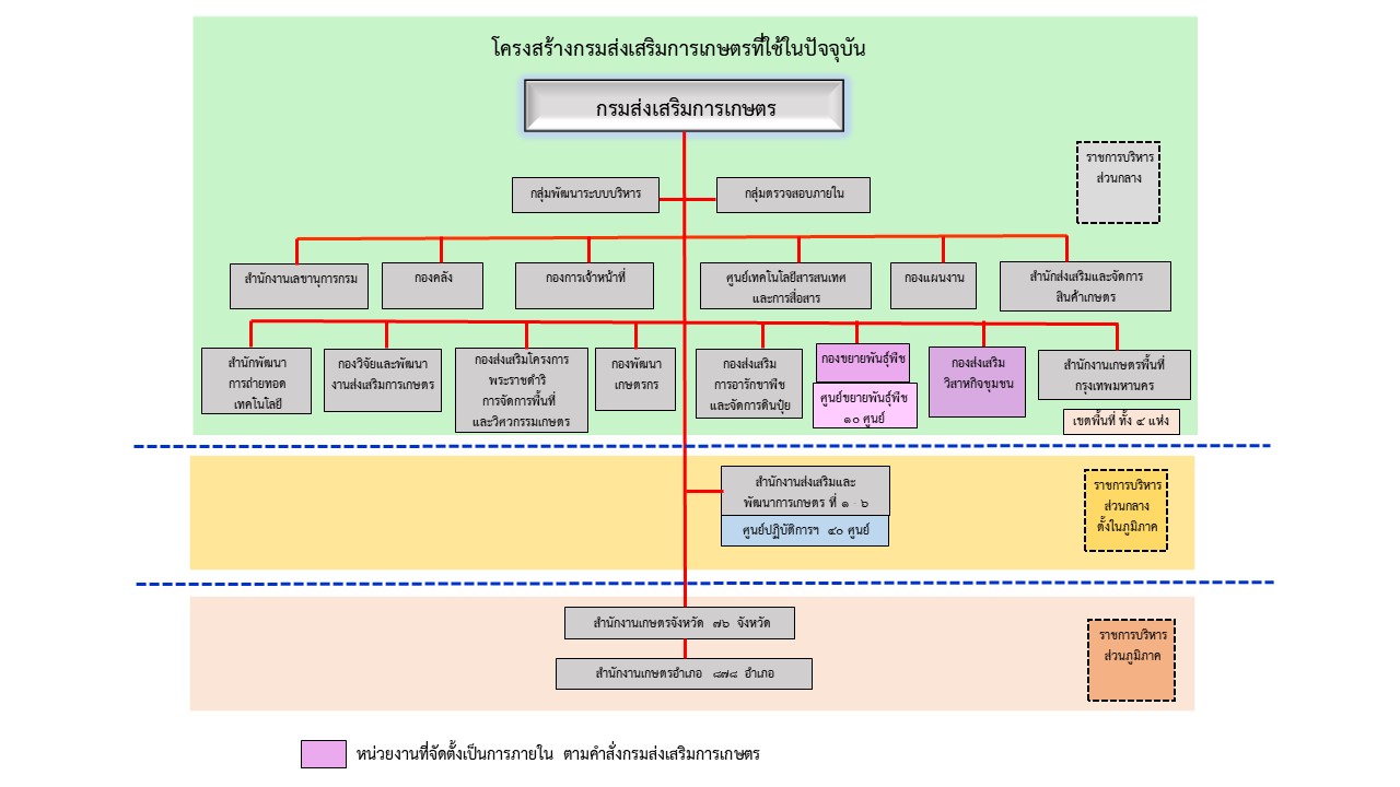 โครงสร้างปัจจุบัน